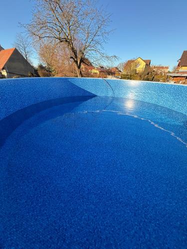 a pool of blue water with a tree in the background at Pension U Babi in Chrášťany