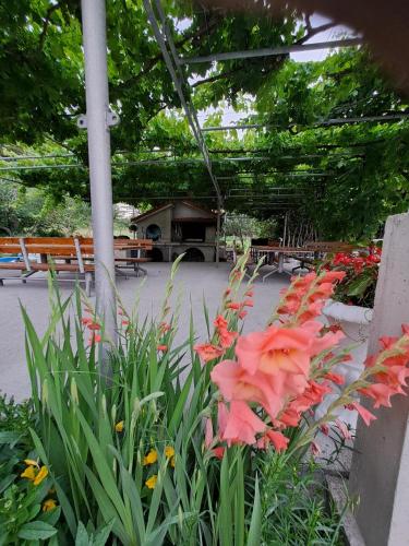 Gordana Apartments