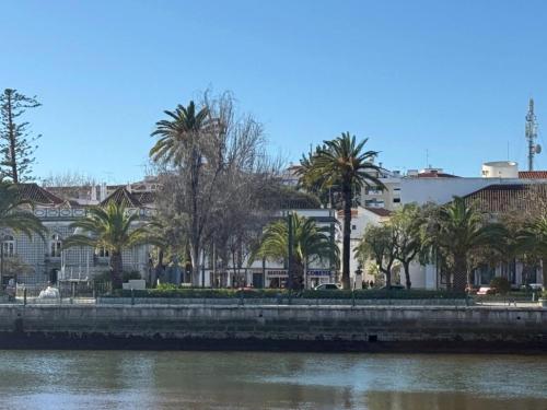 a group of palm trees next to a river at The Olive Tree Apartment in Tavira