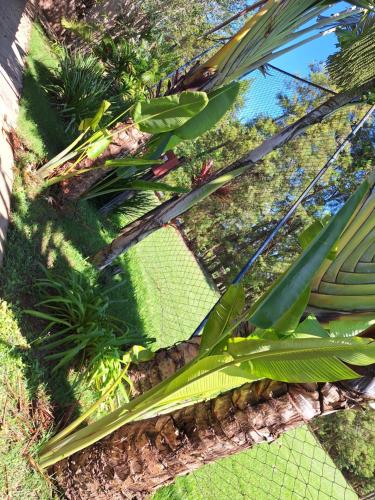 Taman di luar Pousada DuBaldo