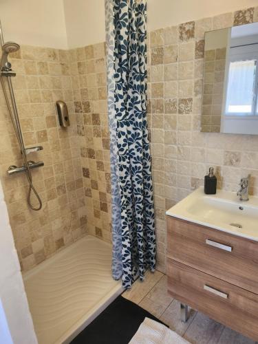 a bathroom with a shower and a sink at La villa de Fleury in Fleury