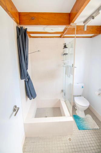 a bathroom with a shower and a toilet at Little Innes in Albany