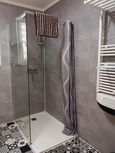une douche avec une porte vitrée dans une salle de bain dans l'établissement La Flaviacoise s'agrandie, à Flaviac