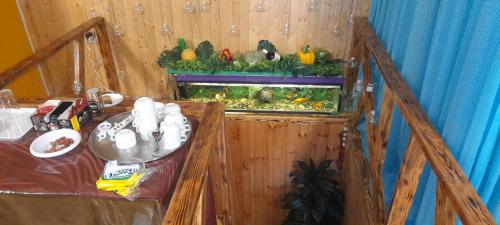 a room with a fish tank with chickens in it at Baku Express Hostel in Baku