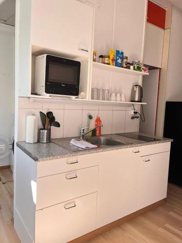 a kitchen with a sink and a microwave at Bright, comfy, industrial looking in Fällanden