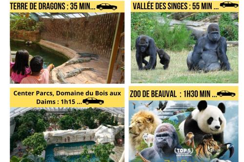 a collage of pictures of animals at a zoo at Escapade poitevine - Maison climatisée avec 3 Ch - 4 min Futuroscope et Aquascope in Chasseneuil-du-Poitou
