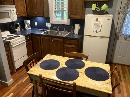 a kitchen with a table with blue circles on it at Secluded Woodland Cabin Rental with Hot Tub in Yadkin Valley Wine Region in Elkin