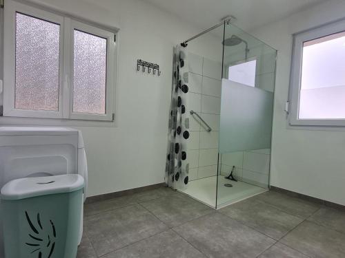 Mont-Saint-MartinにあるGîte du Hibouのバスルーム(ガラス張りのシャワー、トイレ付)