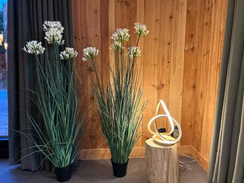 three potted plants in front of a wooden wall at Wellnesslodge Kievit in Dalerveen
