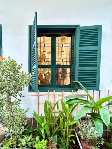 a window with green shutters on a building with plants at Old Quater Tropical House in Noi Bai