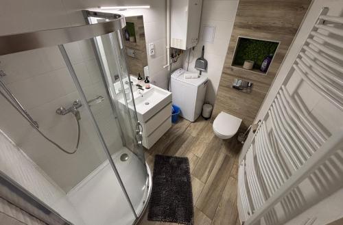 a bathroom with a shower and a sink and a toilet at Art-déco in Pécs