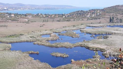 an aerial view of a group of islands in a lake at Lent a Parton Apartmanház in Balatonudvari
