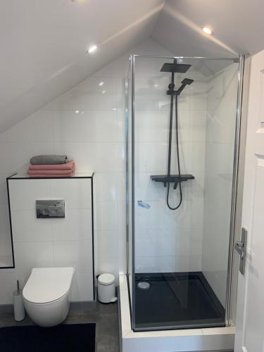 Ένα μπάνιο στο Uroczy domek i apartament nad samym jeziorem z basenem
