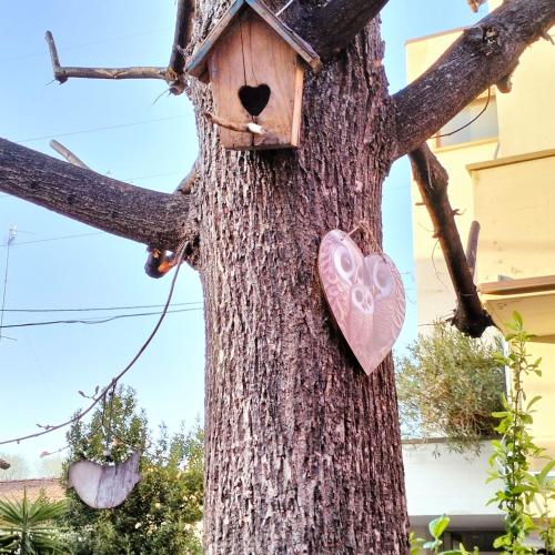 BHH BOLOGNA HOLIDAY HOME private Garden Reserved Parking -wwwbolognaholidayhomecom- house garden parking photo 71