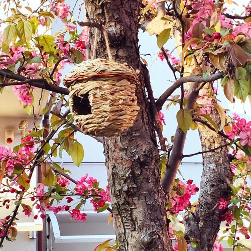 BHH BOLOGNA HOLIDAY HOME private Garden Reserved Parking -wwwbolognaholidayhomecom- house garden parking photo 25
