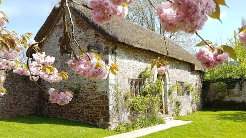 Κήπος έξω από το Bickleigh Castle