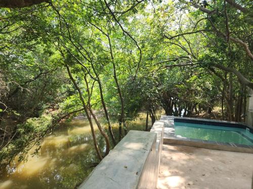 a swimming pool in the middle of a river with trees at Lazy River Retreat in Pretoria