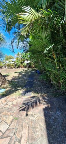 a shadow of a palm tree on a stone walkway at Location ST LEU CHEZ CARO in Étang