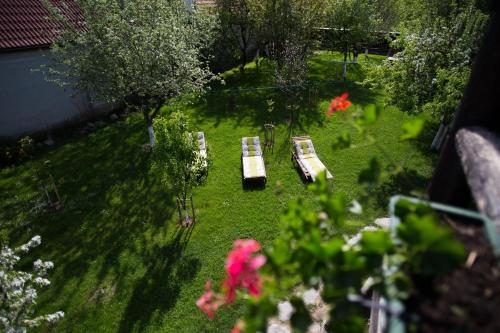 an overhead view of two park benches in a yard at Casa Mosului - Transfăgărășan Bed & Breakfast in Cîrţişoara