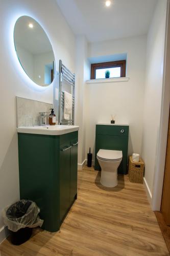 a bathroom with a green sink and a toilet at Heathfield Highland Estate in Invergordon