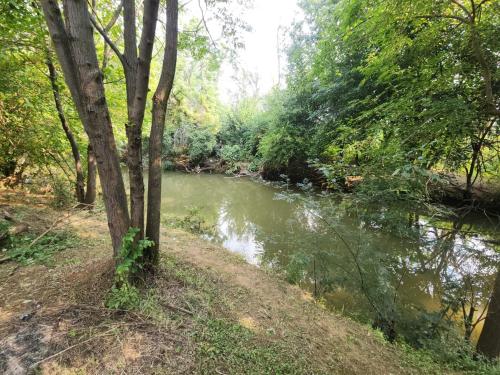 a river in the middle of a forest at Lazy River Retreat in Pretoria