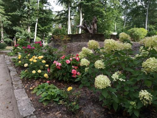 a garden of flowers in a park at Bungalowdorf Briesensee in Neu Zauche