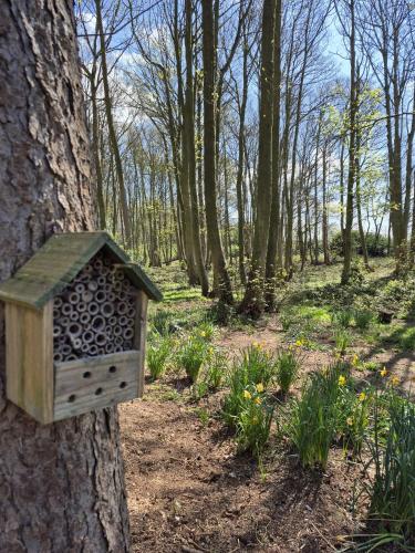 a wooden bird house attached to a tree at Gingerbread Cottage Yurts in East Dereham