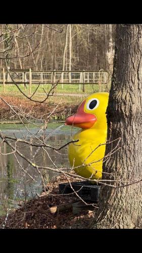 a large toy duck sitting next to a tree at Gîtes du Tichweg in Colmar