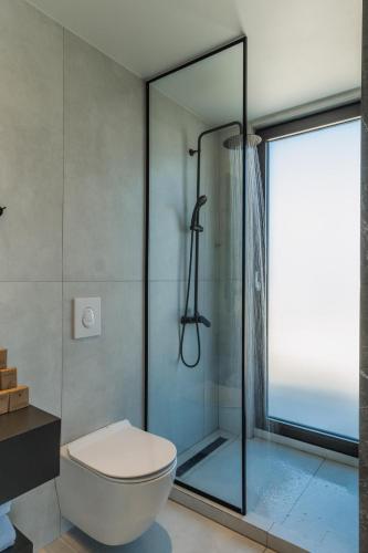 a bathroom with a glass shower and a toilet at Nos Aqua Villas Chania in Pazinos