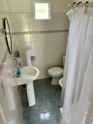 a bathroom with a sink and a toilet at Las Luciérnagas del Delta 1 in Tigre