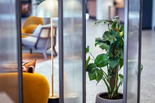 a plant in a vase next to a yellow chair at voco Fareham - Solent by IHG in Fareham