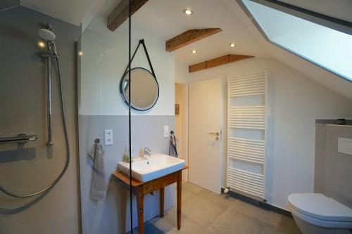 a bathroom with a sink and a shower and a toilet at Raabennest - Bewusst Genießen Junges Wohnen im Alten Dorf in Jübek