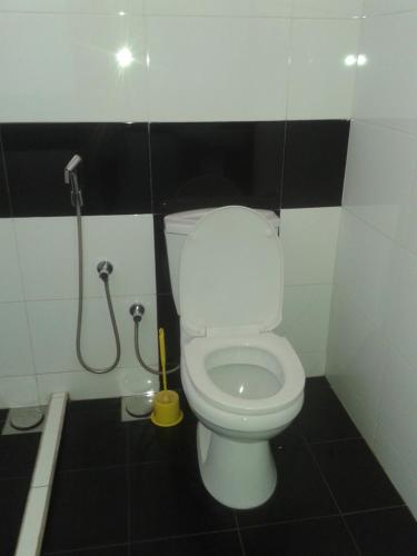 a bathroom with a toilet and a shower at Mini's Residence in Colombo