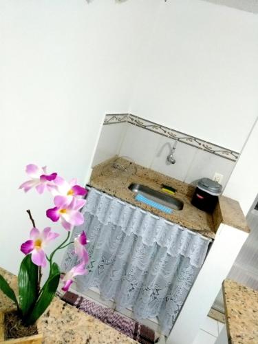 a sink in a kitchen with a vase of flowers at Teresopolis Apartamento Proximo a Feirinha in Teresópolis