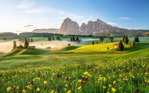 a field of flowers with mountains in the background at Hotel Castel Oswald von Wolkenstein in Castelrotto