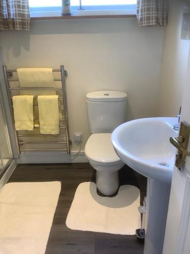 a bathroom with a white toilet and a sink at Croft cabin in Fort William