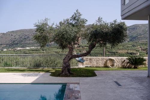 a tree in a yard next to a swimming pool at Villa Avelios in Karefilianá