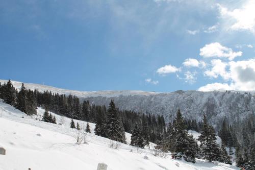 a snow covered hill with trees and a mountain at Feriendorf Koralpe Chalet Bergkristall in St. Gertraud