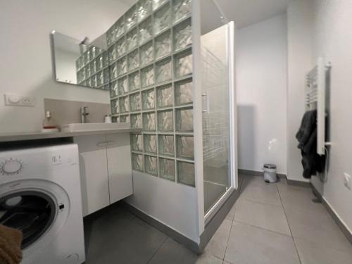 a laundry room with a washing machine and a sink at Fenix Appartement T2 40 M2 cosy RDC plein centre ville in Pierrelatte
