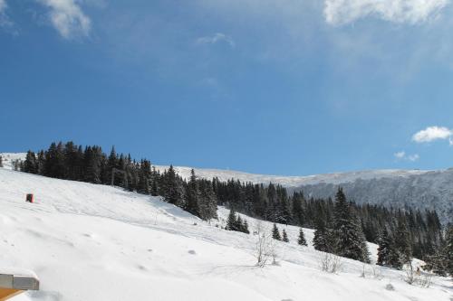 a snow covered slope with trees on a mountain at Feriendorf Koralpe Chalet Gamssprung in St. Gertraud