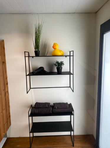 une étagère avec un canard en caoutchouc assis sur un mur dans l'établissement Eden Villeneuve - Suite & appartement, à Villeneuve-lès-Maguelone