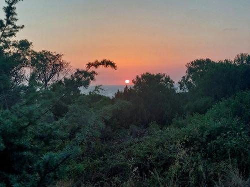 a sunset over a forest with the sun in the sky at Il Rumore del Mare Beach House in Trinità dʼAgultu