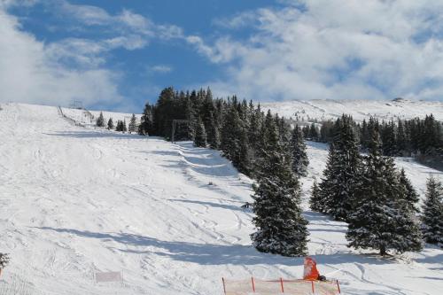 Feriendorf Koralpe Chalet Enzian v zimě