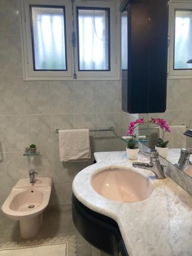 a bathroom with a sink and a toilet at Maison provençale de Plain pied avecGrand jardin et Piscine in Aubagne