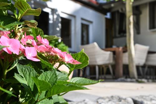 a bush with pink flowers on a patio at Landhotel Adler in Deggenhausertal