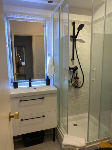 ein Bad mit einer Dusche und einem Waschbecken mit einem Spiegel in der Unterkunft Charmant Studio in Cannes