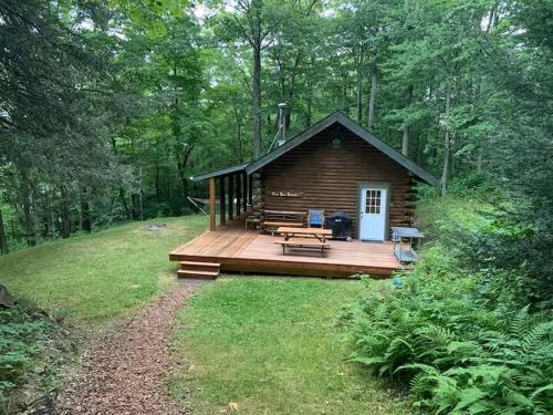a small cabin with a deck in the woods at Pine Hill FLX Retreat in Cohocton