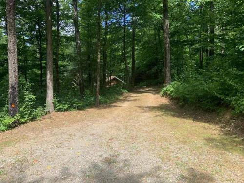 a dirt road in the middle of a forest at Pine Hill FLX Retreat in Cohocton