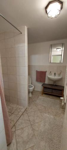 a bathroom with a sink and a toilet and a mirror at Vila Kost Apartman 2 in Libošovice