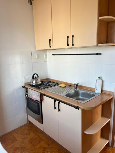 Кухня или мини-кухня в Apartament przy bulwarze
